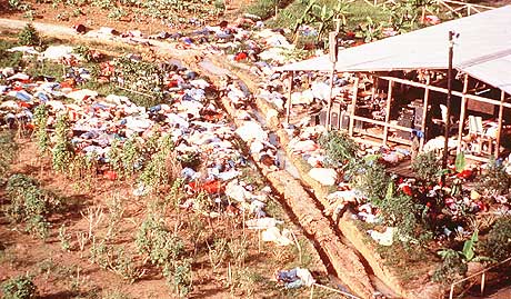 Jonestown mass suicide or CIA op?